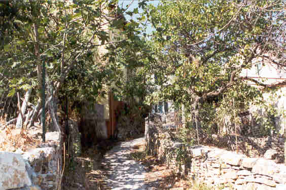 Et smug i en landsby på Korfu! - copyright www.bradager.net